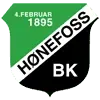 Honefoss Football Team Results