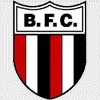 Botafogo SP Football Team Results