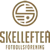 Skellefteå FF Football Team Results