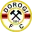 Dorogi FC Football Team Results
