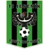 FK Jesenik Football Team Results