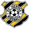 Hertha Wiesbach Football Team Results