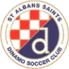 St Albans Saints Football Team Results