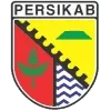 Persikab Bandung Football Team Results