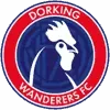 Dorking Wanderers Football Team Results