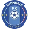 Avondale Football Team Results