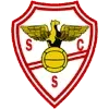 Salgueiros Football Team Results