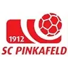 SC Pinkafeld Football Team Results