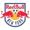 New York Red Bulls Football Team Results