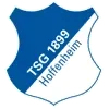 TSG Hoffenheim Football Team Results