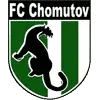 Chomutov Football Team Results