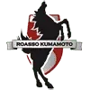 Roasso Kumamoto Football Team Results