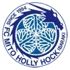 Mito Hollyhock Football Team Results