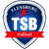 TSB Flensburg Football Team Results