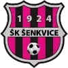 SK Senkvice Football Team Results