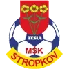 MSK Tesla Stropkov Football Team Results