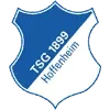 TSG 1899 Hoffenheim II Women Football Team Results