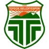 Buyukcekmece Tepecikspor Football Team Results