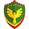 Amedspor Football Team Results