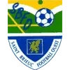 Stade Briochin Football Team Results
