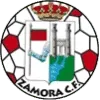 Zamora CF Football Team Results