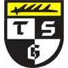 TSG Balingen Football Team Results