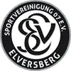 Elversberg II Football Team Results