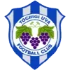 Tochigi City Football Team Results