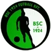 Budaorsi SC Football Team Results