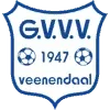 GVVV Veenendaal Football Team Results