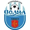 Volna Pinsk Football Team Results