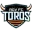Rio Grande Valley FC Toros Football Team Results