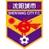 Liaoning Shenyang Urban Football Team Results