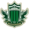 Matsumoto Y FC Football Team Results