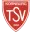 TSV Kornburg Football Team Results