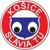 Slavia TU Kosice Football Team Results
