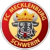 FC Mecklenburg Schwerin Football Team Results