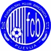 FC Breznica Women Football Team Results