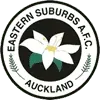 Eastern Suburbs Auckland Football Team Results