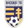 Bicskei TC Football Team Results