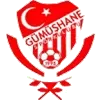 Gumushanespor Football Team Results