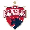 ShenZhen Football Team Results