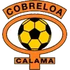 Cobreloa Football Team Results