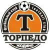 Torpedo Zhodino Football Team Results