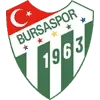 Bursaspor Football Team Results
