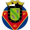 Felgueiras 1932 Football Team Results