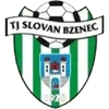 Bzenec Football Team Results