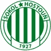 Sokol Hostoun Football Team Results