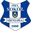 Sokol Sieniawa Football Team Results