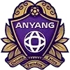 FC Anyang Football Team Results